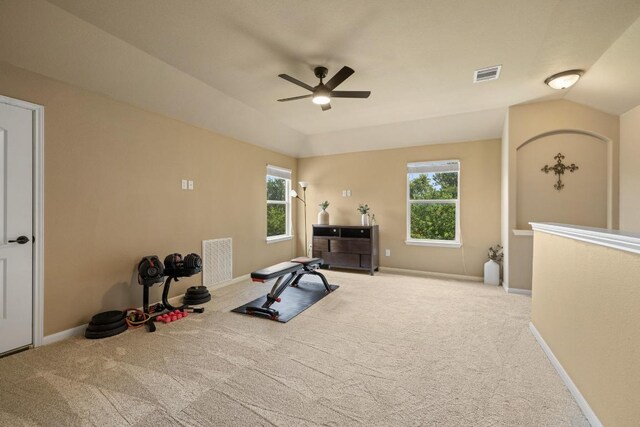 2644 Salorn Way, Round Rock, TX 78681 - workout room featuring carpet, a ceiling fan, and lofted ceiling