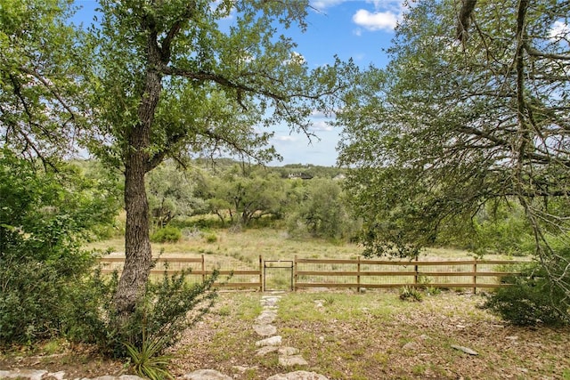 1026 Windmill Rd, Dripping Springs, TX 78620 - photo 28