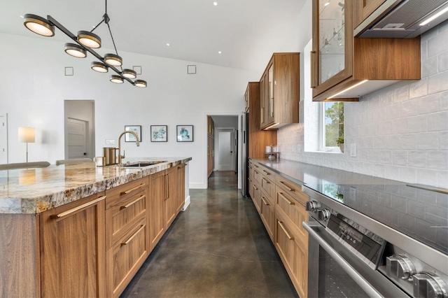 2300 Stagecoach Ranch Loop Unit B, Dripping Springs, TX 78620 - kitchen with stainless steel range, a sink, finished concrete flooring, high vaulted ceiling, and premium range hood