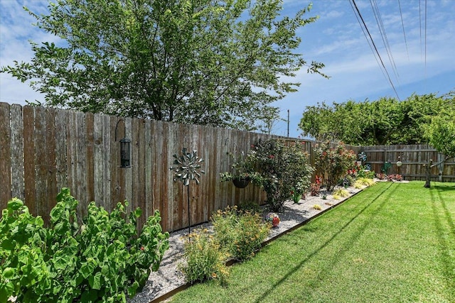 257 Culebra Dr, Georgetown, TX 78626 - view of yard