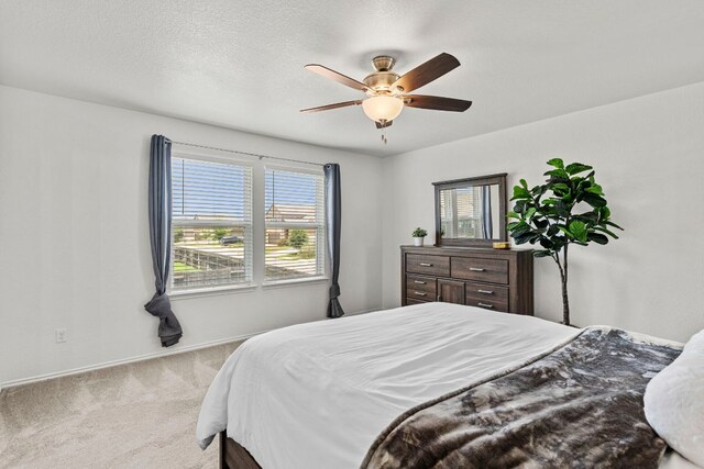 108 Boxwood Dr, Buda, TX 78610 - photo 15