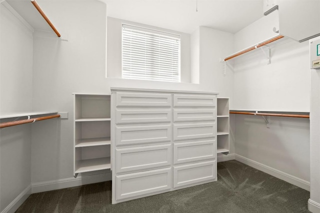 8546 Adirondack Trl Unit 14, Austin, TX 78759 - walk in closet with dark colored carpet