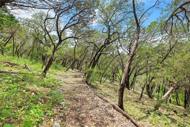 8546 Adirondack Trl Unit 14, Austin, TX 78759 - view of tree filled area