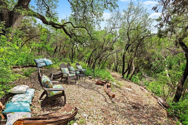 8546 Adirondack Trl Unit 14, Austin, TX 78759 - view of yard