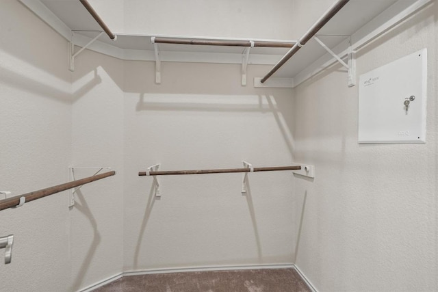 2141 Rachel Ln, Round Rock, TX 78664 - spacious closet featuring carpet flooring