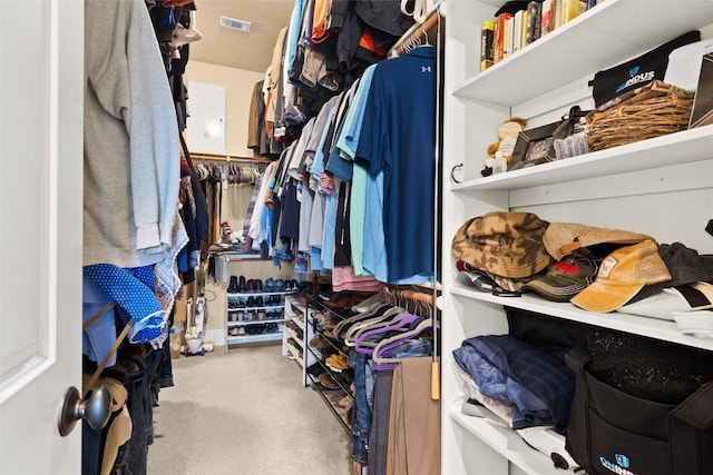 121 White Wash, Dripping Springs, TX 78620 - walk in closet featuring carpet