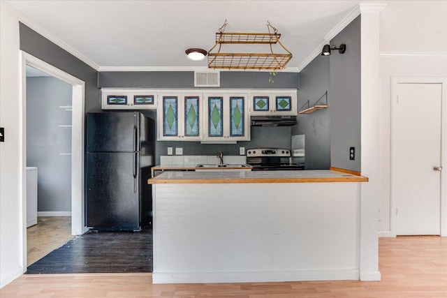 3304 Clawson Rd, Austin, TX 78704 - kitchen with freestanding refrigerator, electric range oven, under cabinet range hood, crown molding, and a sink