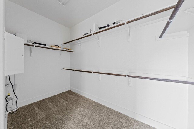 20525 Martin Ln, Pflugerville, TX 78660 - spacious closet with carpet floors