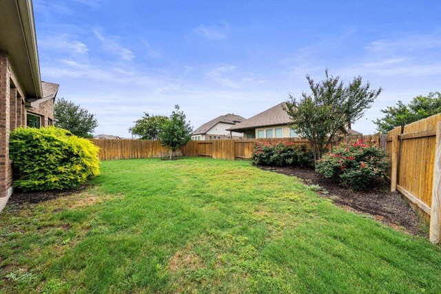 20525 Martin Ln, Pflugerville, TX 78660 - view of yard