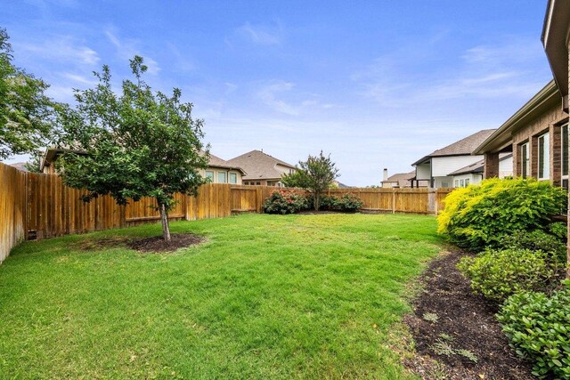 20525 Martin Ln, Pflugerville, TX 78660 - view of yard