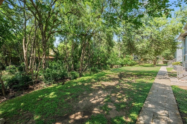 3204 Menchaca Rd Unit 405, Austin, TX 78704 - view of green lawn