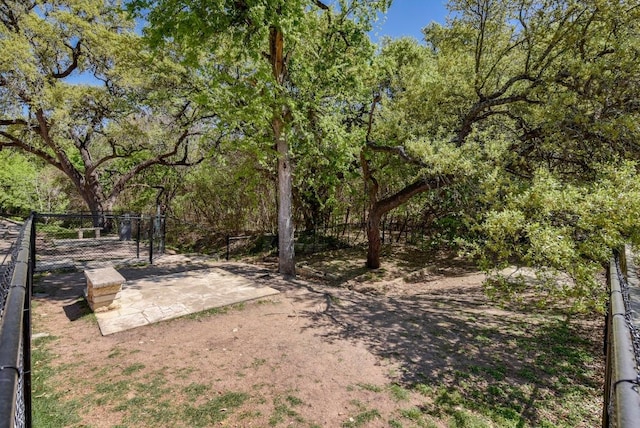 3204 Menchaca Rd Unit 405, Austin, TX 78704 - view of yard