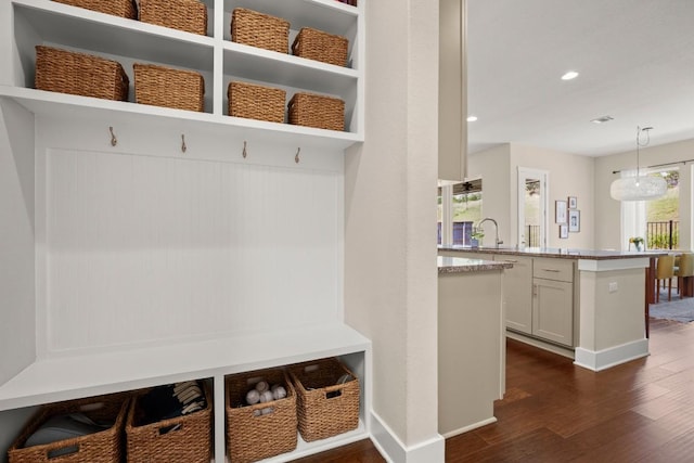 1609 Indian Apple Way, Leander, TX 78641 - mudroom with dark wood-style floors, recessed lighting, baseboards, and a sink