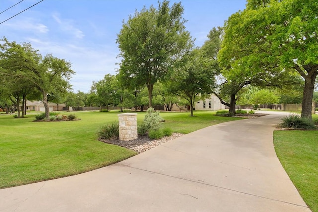 148 Oak Plaza Dr, Georgetown, TX 78628 - view of community with a lawn