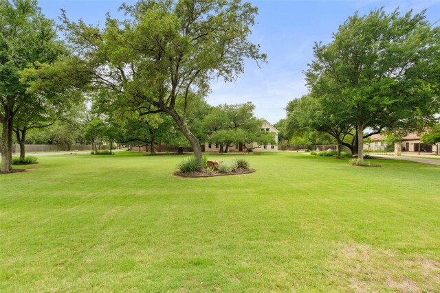 148 Oak Plaza Dr, Georgetown, TX 78628 - view of yard