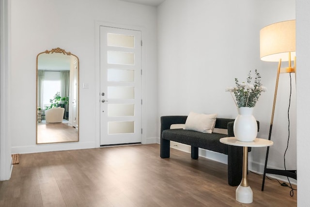 256 Smoke Tree Cir, Dripping Springs, TX 78620 - entryway featuring wood finished floors and baseboards