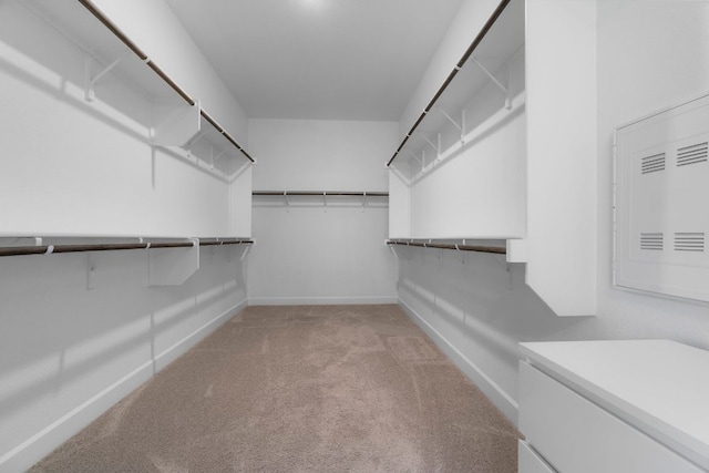256 Smoke Tree Cir, Dripping Springs, TX 78620 - walk in closet featuring carpet floors