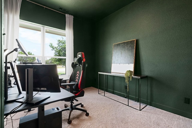 256 Smoke Tree Cir, Dripping Springs, TX 78620 - carpeted office featuring a textured wall