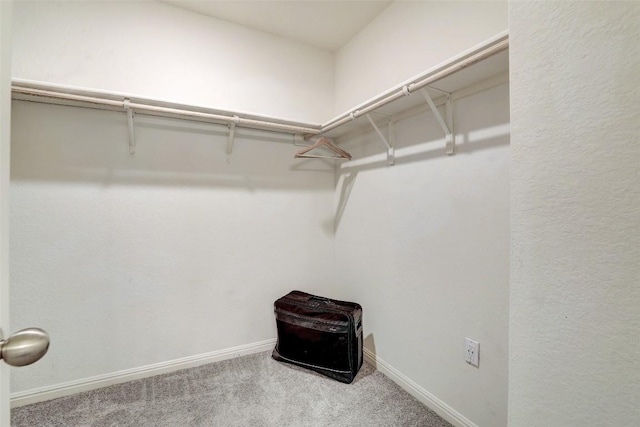 163 Wonderful Life Way, Jarrell, TX 76537 - spacious closet featuring carpet