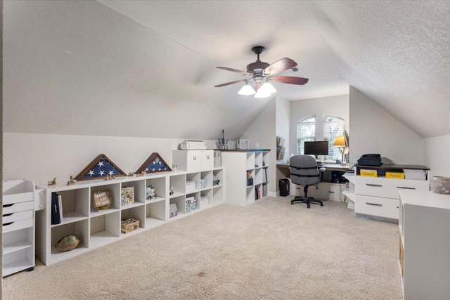 30106 Torrey Pines Cir, Georgetown, TX 78628 - photo 29