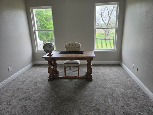 128 Gloria Blvd, Smithville, TX 78957 - carpeted office space featuring a textured wall and baseboards