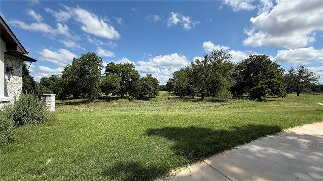 128 Gloria Blvd, Smithville, TX 78957 - view of green lawn