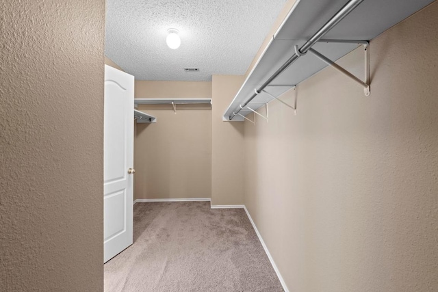 2507 Byfield Dr, Cedar Park, TX 78613 - walk in closet with carpet flooring