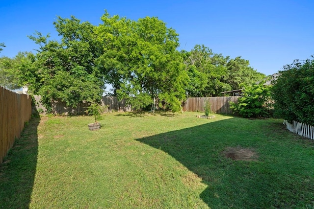 2507 Byfield Dr, Cedar Park, TX 78613 - view of yard