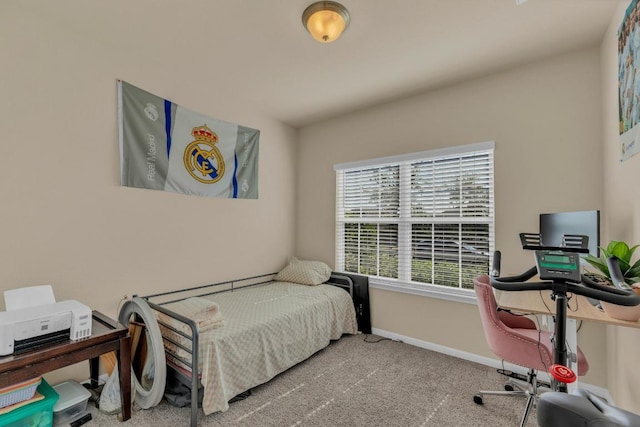 409 Red Matador Ln, Leander, TX 78641 - bedroom featuring baseboards and carpet