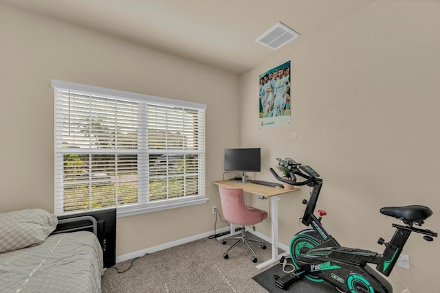 409 Red Matador Ln, Leander, TX 78641 - home office with baseboards and carpet flooring