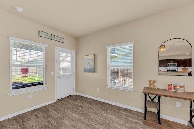409 Red Matador Ln, Leander, TX 78641 - entrance foyer with wood finished floors and baseboards