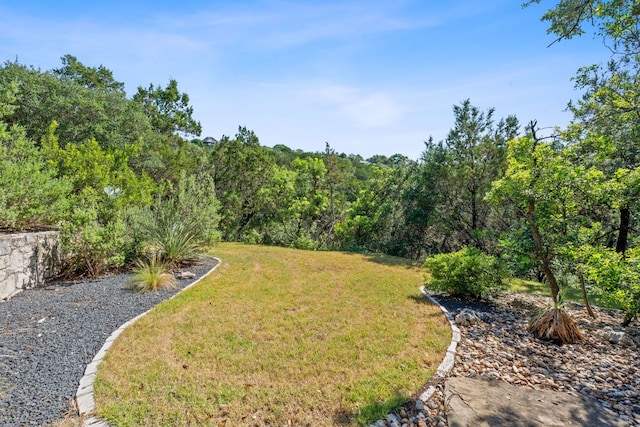 6706 Fort Davis Cv Unit B, Austin, TX 78731 - view of grassy yard with a wooded view