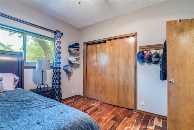 336 Primrose Dr, Kyle, TX 78640 - bedroom featuring wood finished floors, a closet, and a textured ceiling