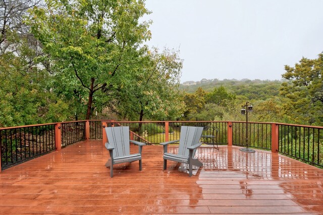 6706 Fort Davis Cv, Austin, TX 78731 - photo 34