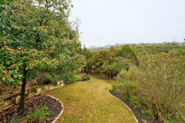 6706 Fort Davis Cv, Austin, TX 78731 - photo 36