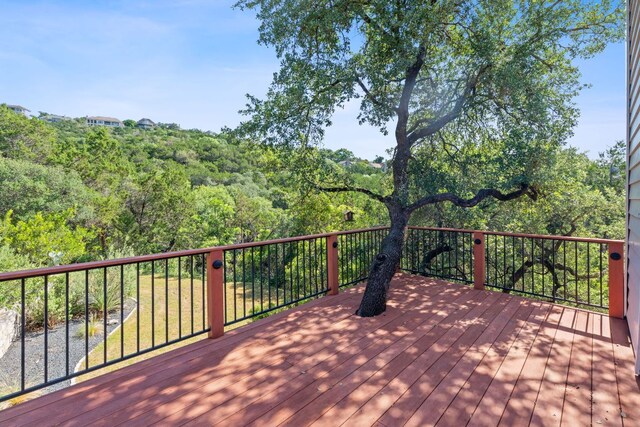 6706 Fort Davis Cv, Austin, TX 78731 - photo 3