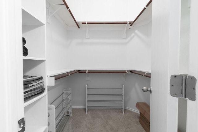 1310 Rainbow Parke Dr, Round Rock, TX 78665 - view of spacious closet