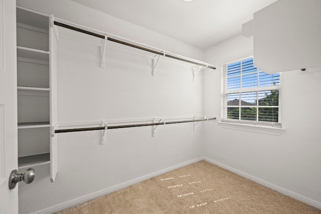 5406 Traviston Dr, Austin, TX 78738 - spacious closet with carpet floors