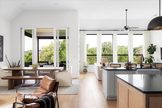 482 Running Bird Rd, Austin, TX 78737 - kitchen with dark countertops, light wood finished floors, healthy amount of natural light, a ceiling fan, and lofted ceiling