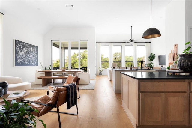 482 Running Bird Rd, Austin, TX 78737 - kitchen with healthy amount of natural light, dark countertops, light wood-style floors, a ceiling fan, and high vaulted ceiling