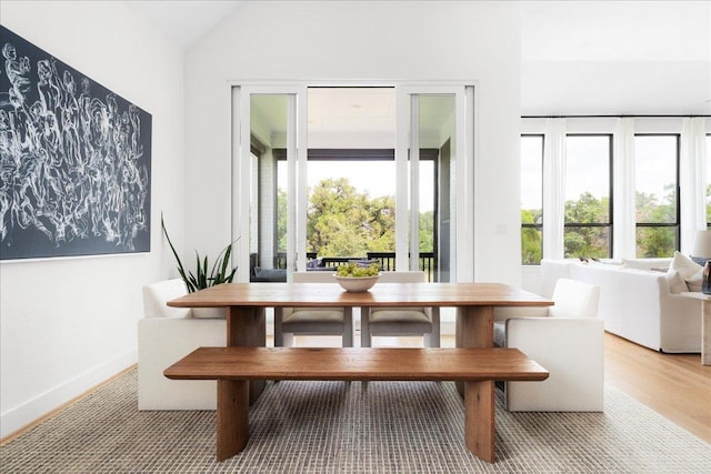 482 Running Bird Rd, Austin, TX 78737 - dining room with lofted ceiling, light wood finished floors, and baseboards