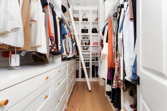 482 Running Bird Rd, Austin, TX 78737 - walk in closet featuring light wood-type flooring