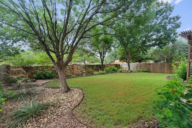 2125 Village View Loop, Pflugerville, TX 78660 - view of yard