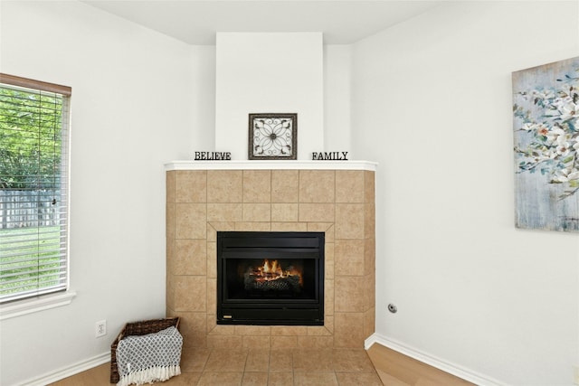 1113 Red Ranch Cir, Cedar Park, TX 78613 - detailed view of a fireplace, baseboards, and wood finished floors