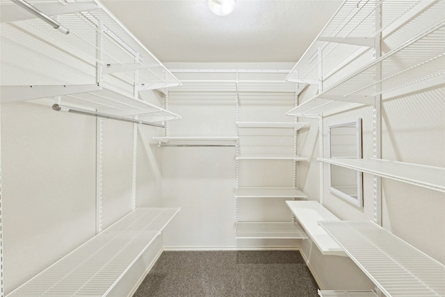 1113 Red Ranch Cir, Cedar Park, TX 78613 - walk in closet with carpet flooring