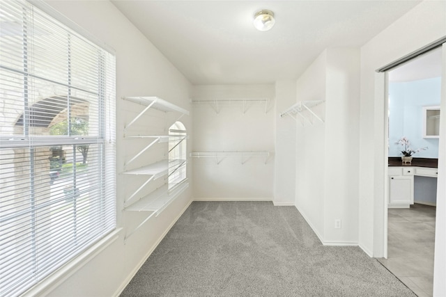 1113 Red Ranch Cir, Cedar Park, TX 78613 - walk in closet featuring light colored carpet