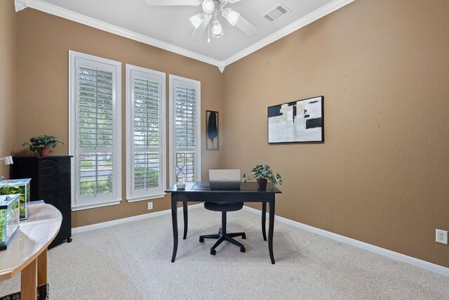 3022 Luminoso Ln E, Round Rock, TX 78681 - carpeted office featuring ornamental molding, ceiling fan, and baseboards