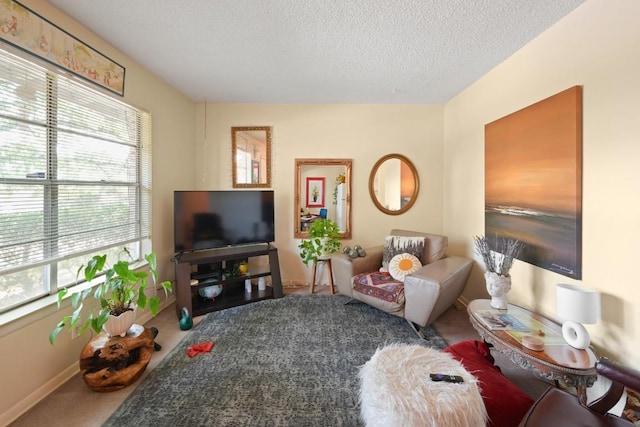 801 Terrell Hill Dr, Austin, TX 78704 - living area with healthy amount of natural light, carpet, and a textured ceiling