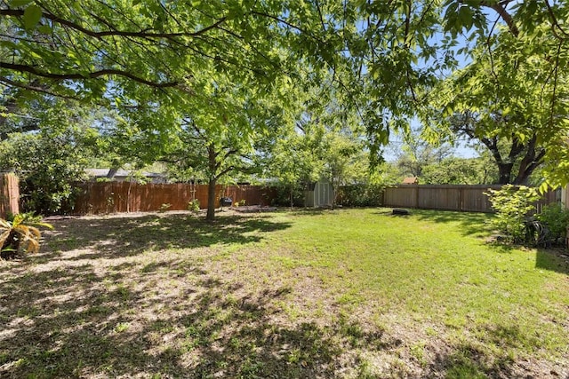 1308 Berkshire Dr, Austin, TX 78723 - view of yard