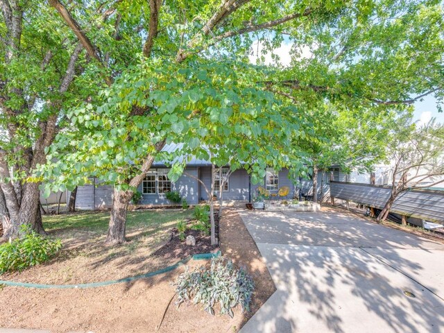 1705 Adriane Dr, Austin, TX 78721 - view of property hidden behind natural elements